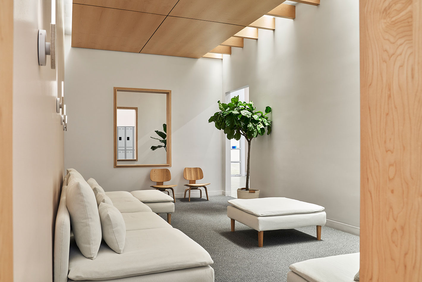 Modern furniture is arranged around a casual conference space, which features a wood paneled ceiling above crisp white walls. Houseplants soften the space.